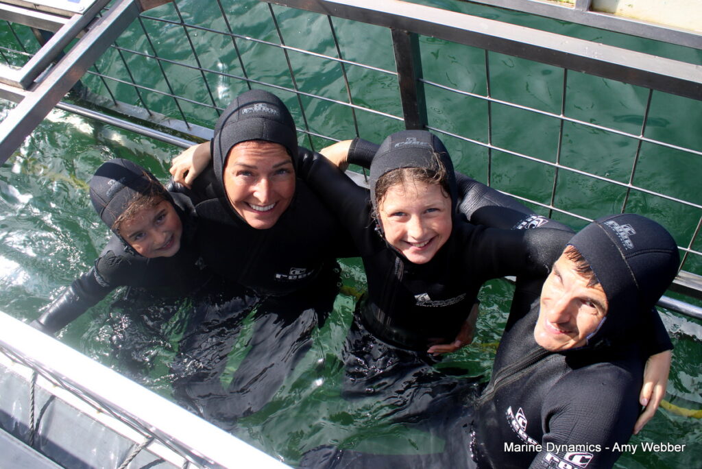 Shark cage diving, Gansbaai, South Africa