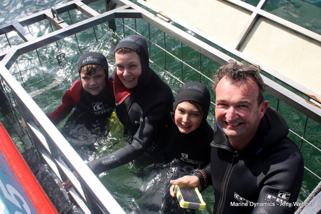 Shark cage diving, Gansbaai, South Africa