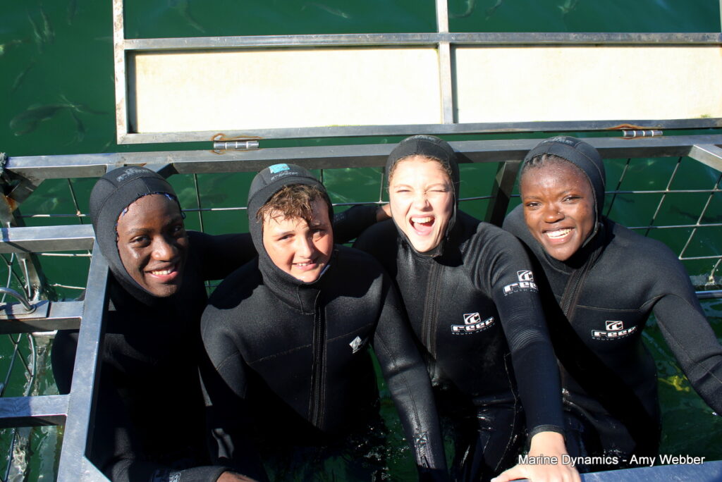 Shark cage diving, Gansbaai, South Africa