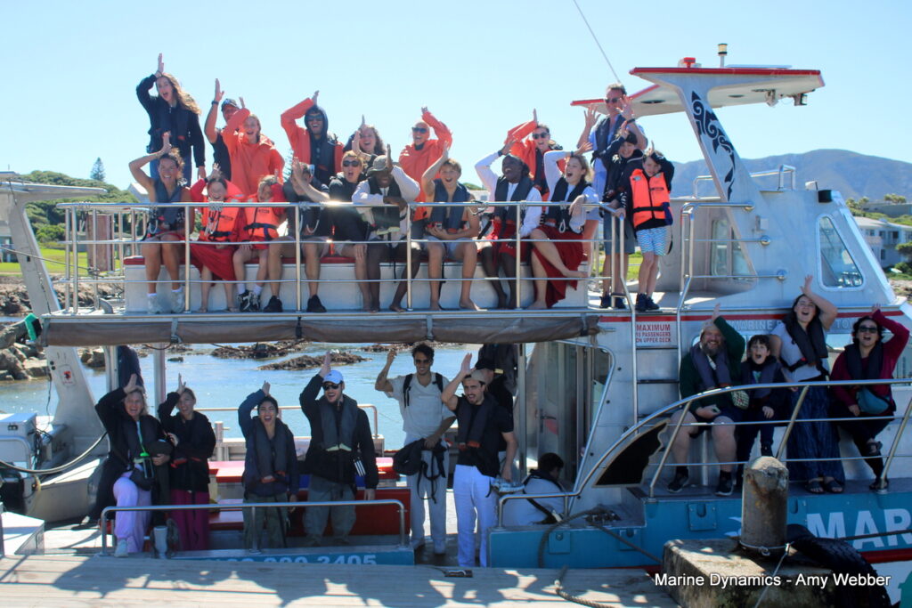 Shark cage diving, Gansbaai, South Africa