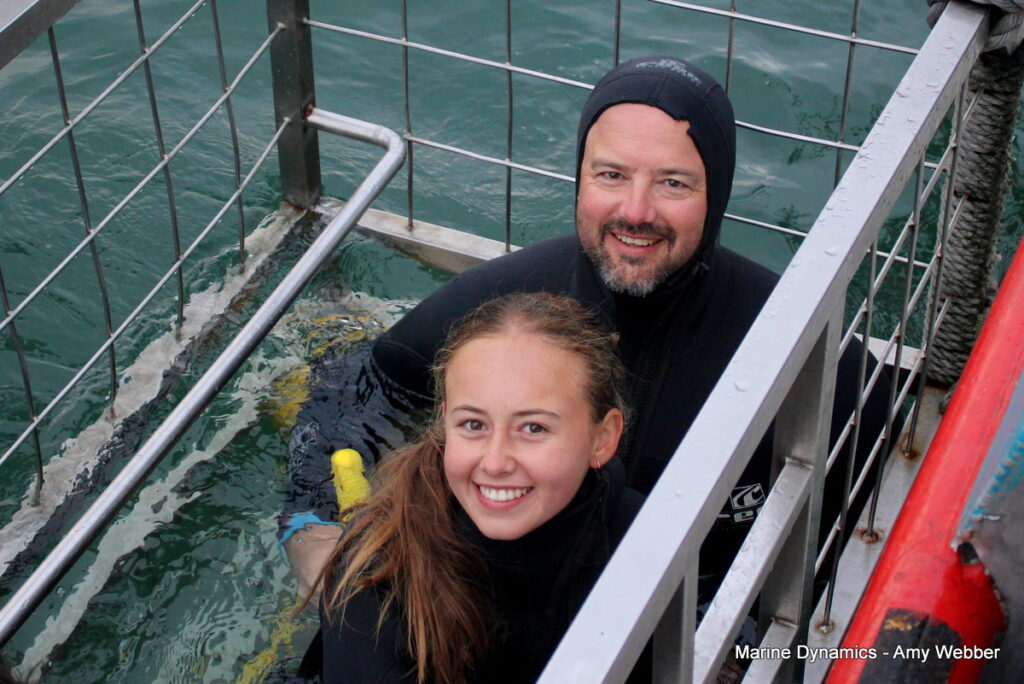 Shark cage diving, Gansbaai, South Africa