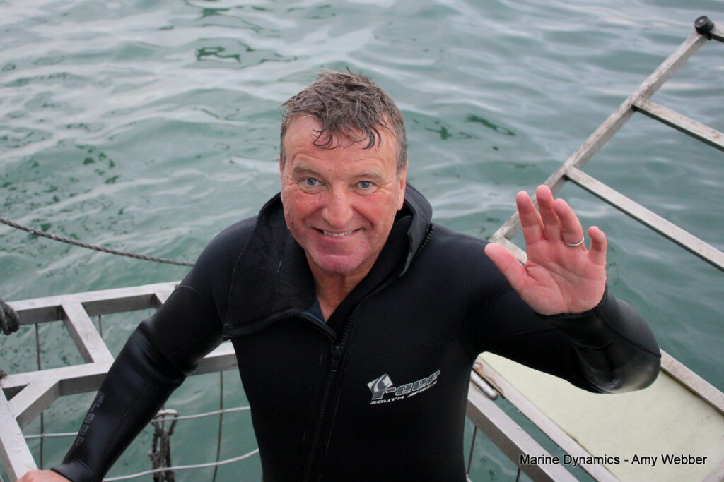 Shark cage diving, Gansbaai, South Africa