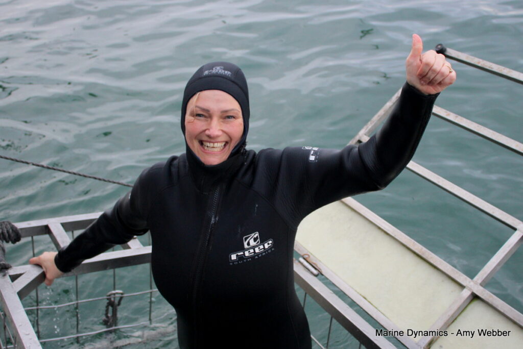 Shark cage diving, Gansbaai, South Africa