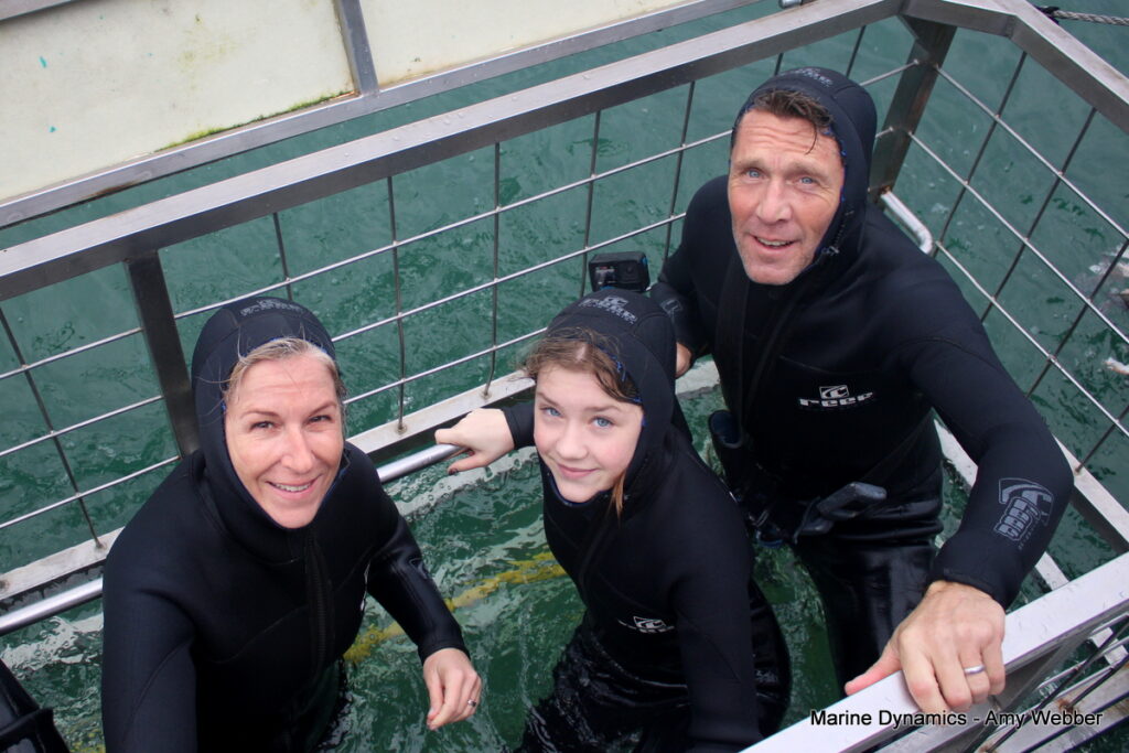 Shark cage diving, Gansbaai, South Africa