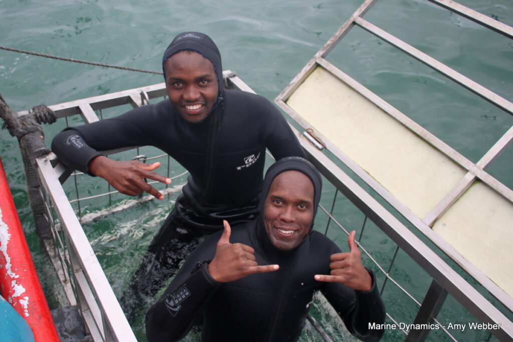 Shark cage diving, Gansbaai, South Africa