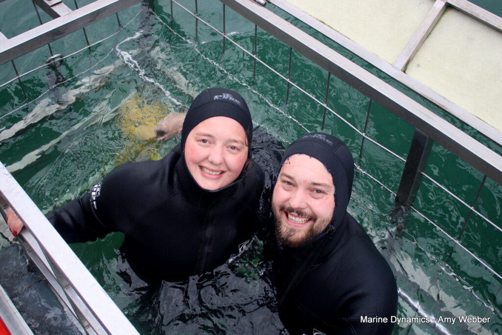 Shark cage diving, Gansbaai, South Africa