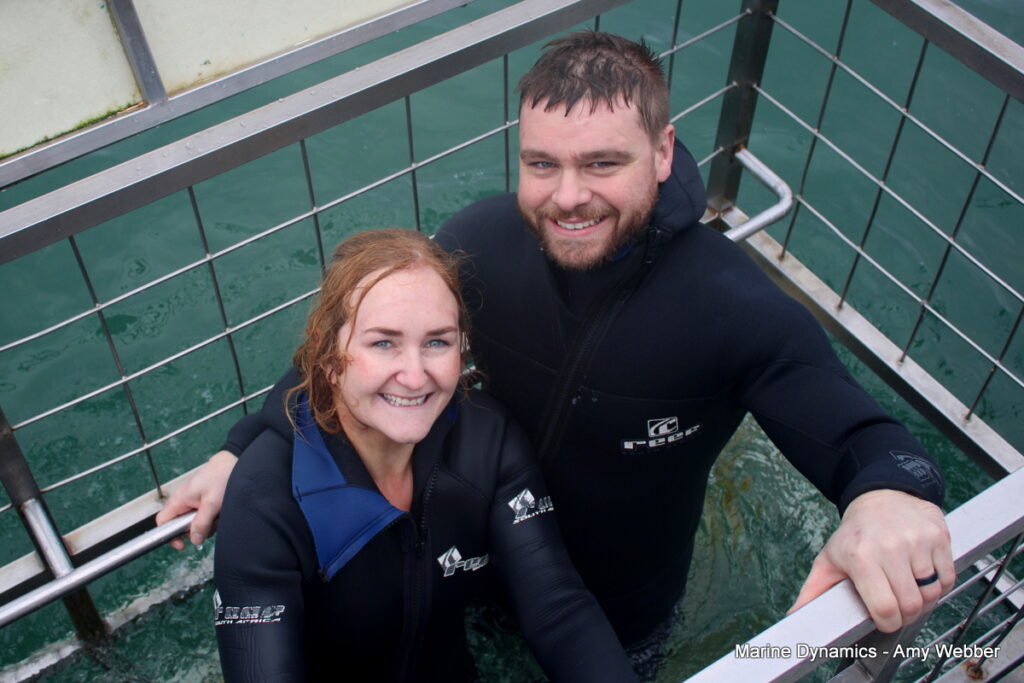 Shark cage diving, Gansbaai, South Africa