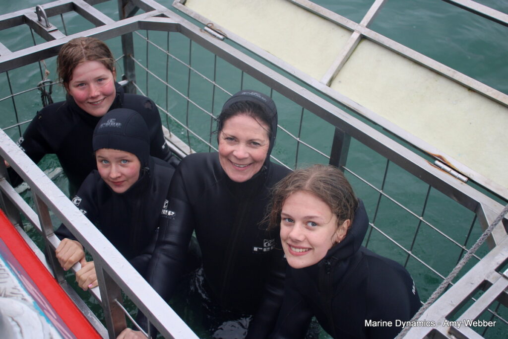 Shark cage diving, Gansbaai, South Africa