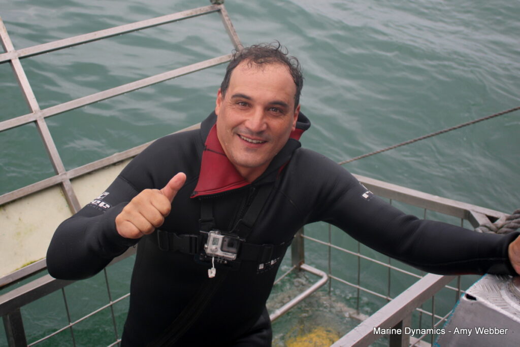 Shark cage diving, Gansbaai, South Africa