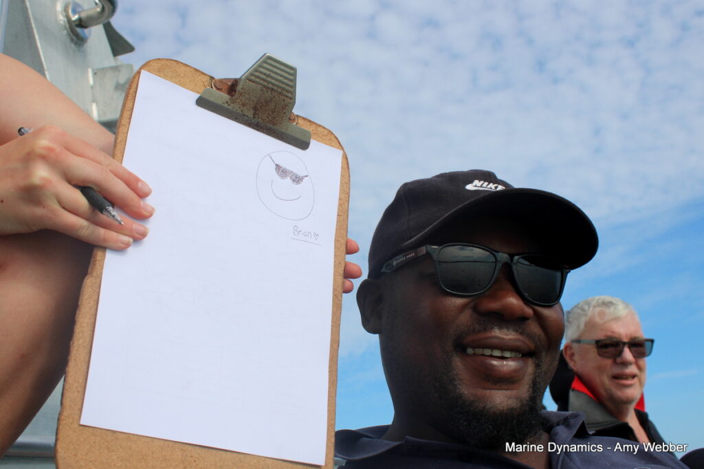 Shark cage diving, Gansbaai, South Africa