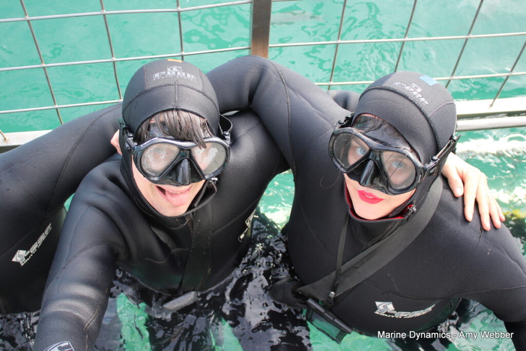 Shark cage diving, Gansbaai, South Africa