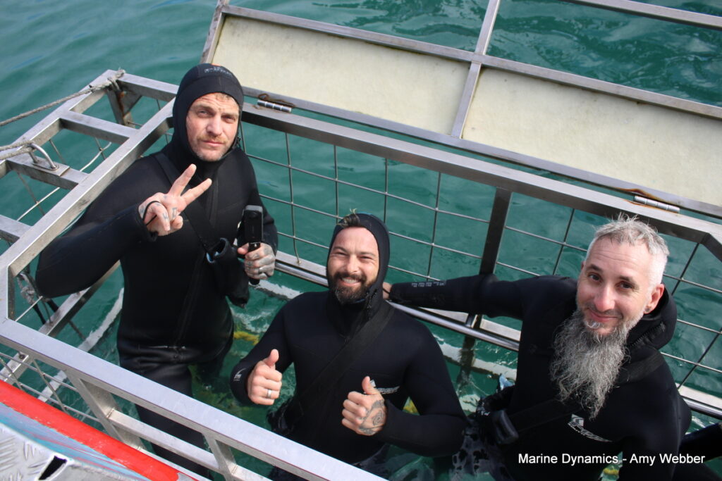 Shark cage diving, Gansbaai, South Africa