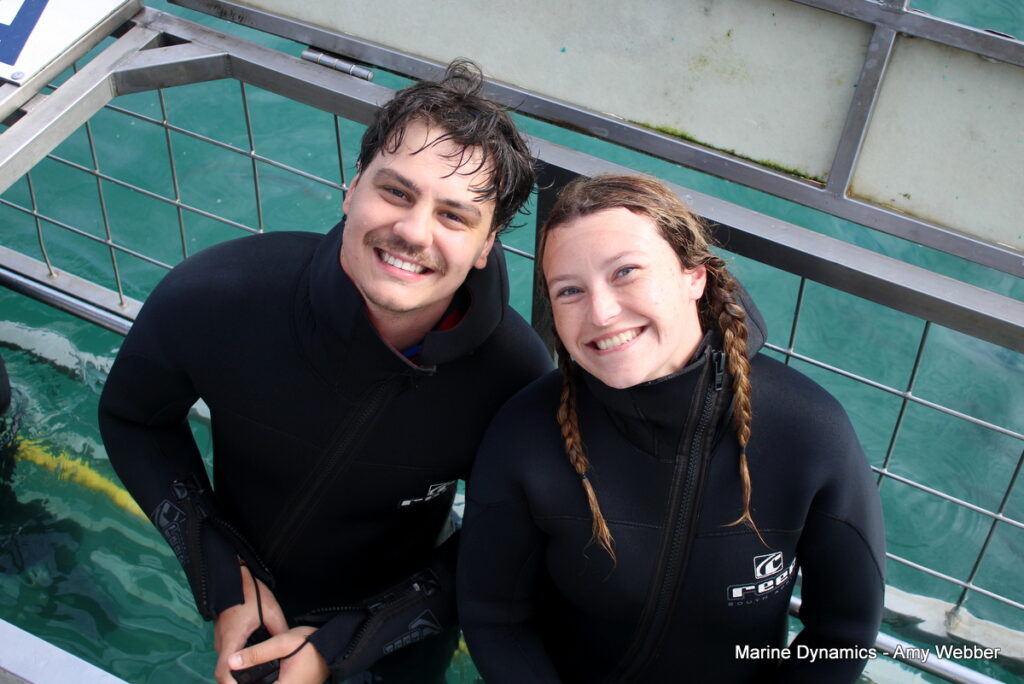 Shark cage diving, Gansbaai, South Africa