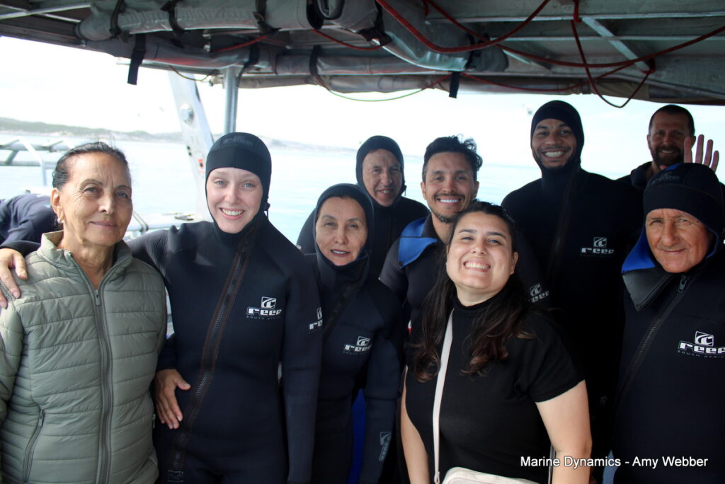 Shark cage diving, Gansbaai, South Africa