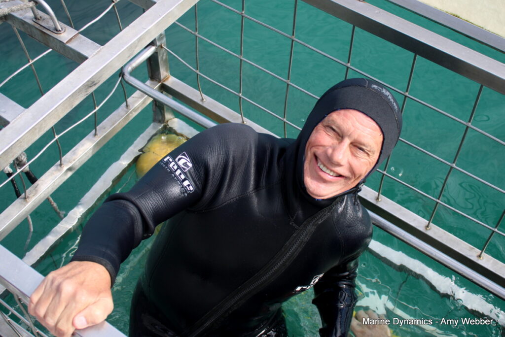 Shark cage diving, Gansbaai, South Africa