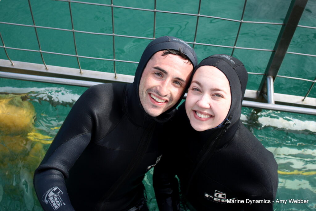Shark cage diving, Gansbaai, South Africa