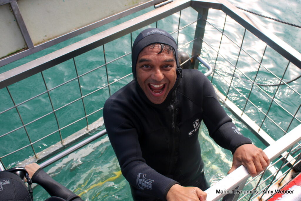 Shark cage diving, Gansbaai, South Africa