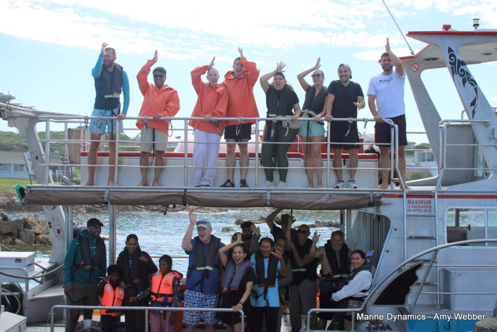 Shark cage diving, Gansbaai, South Africa