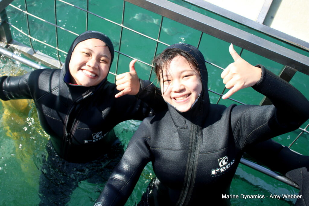 Shark cage diving, Gansbaai, South Africa