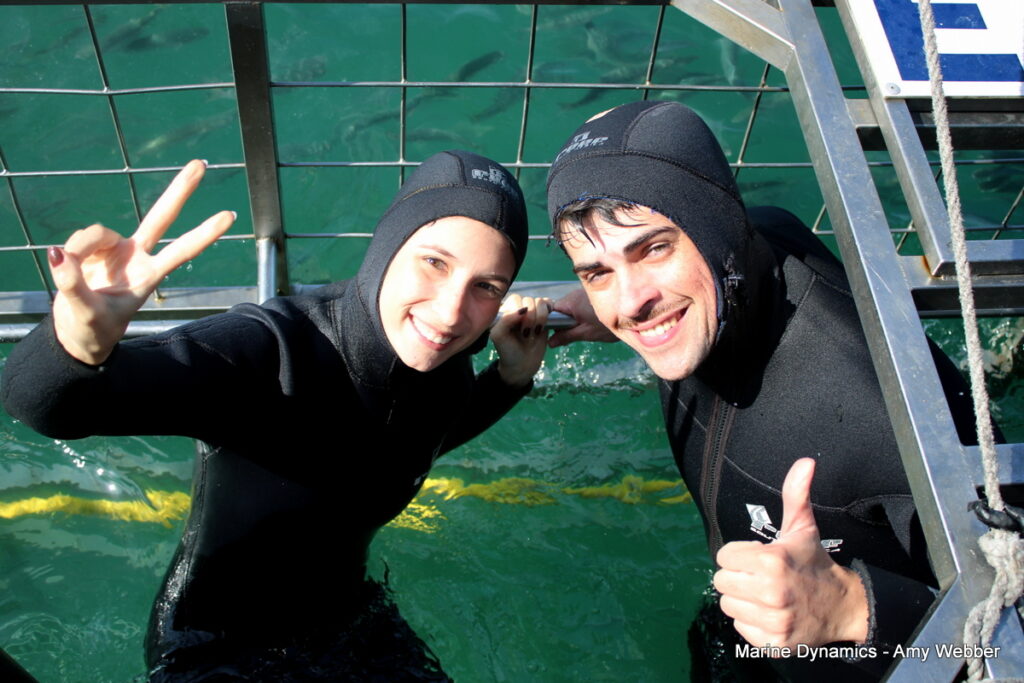 Shark cage diving, Gansbaai, South Africa