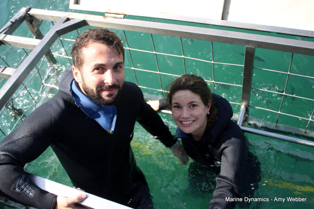 Shark cage diving, Gansbaai, South Africa