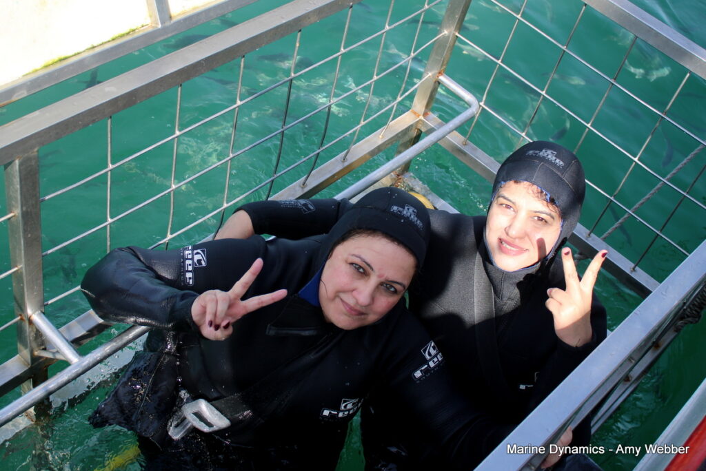 Shark cage diving, Gansbaai, South Africa