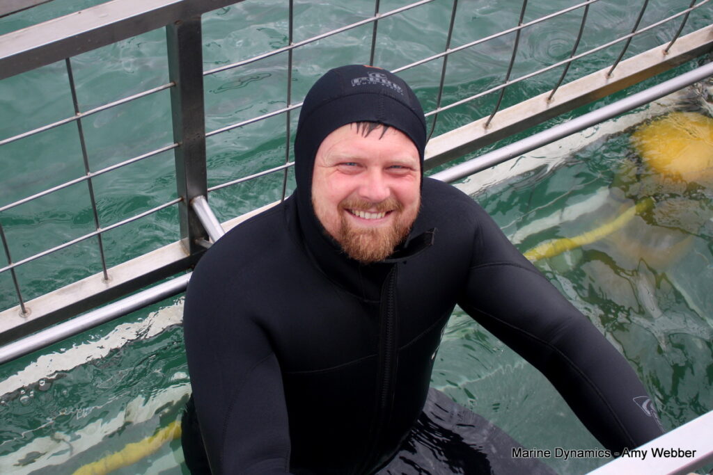 Shark cage diving, Gansbaai, South Africa