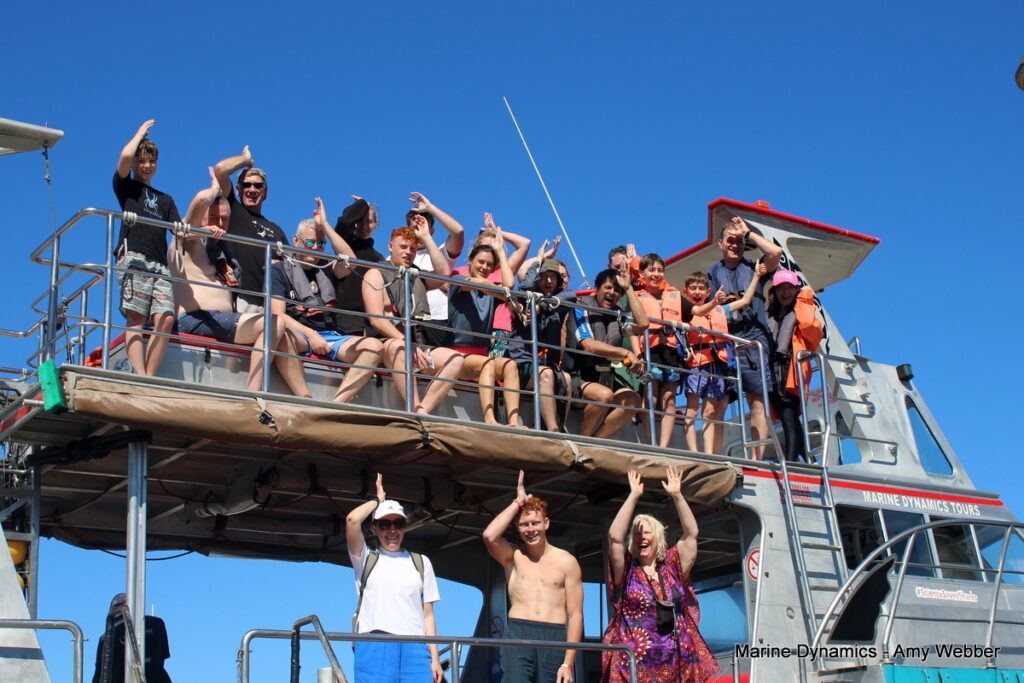 Shark cage diving, Gansbaai, South Africa
