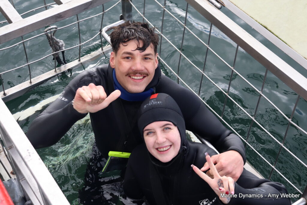 Shark cage diving, Gansbaai, South Africa