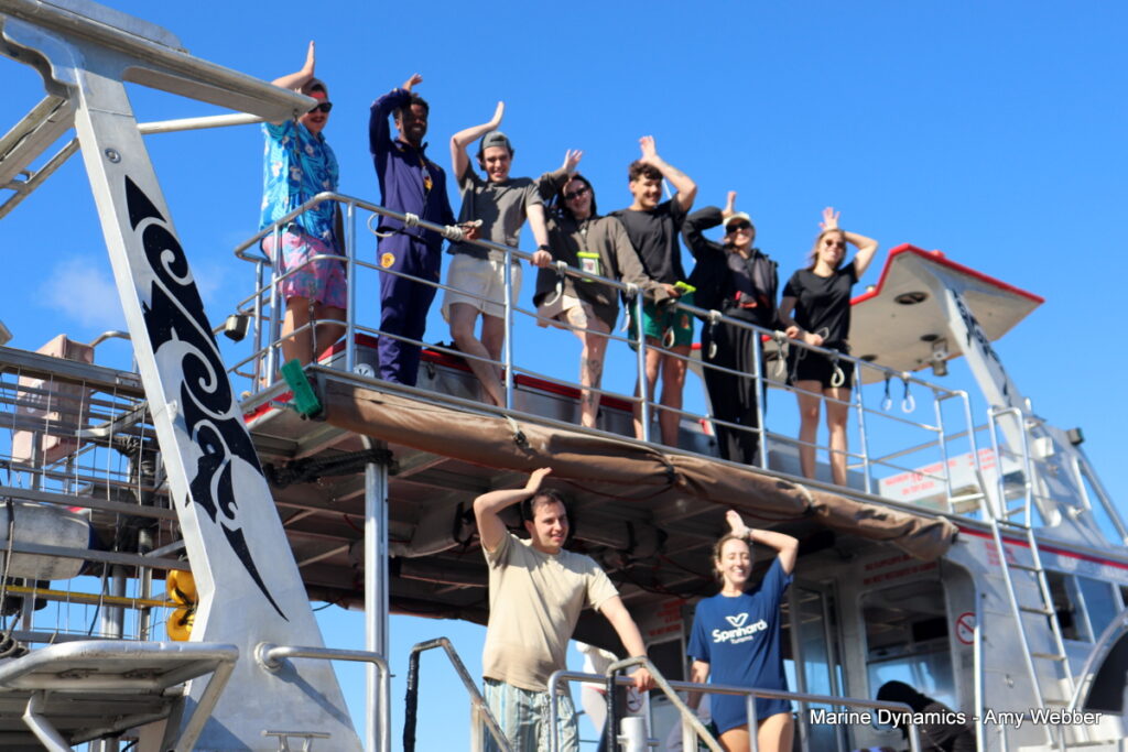 Shark cage diving, Gansbaai, South Africa