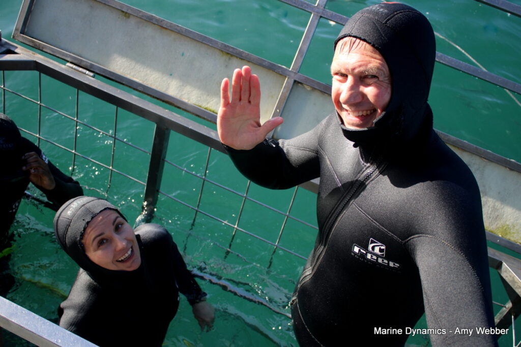 Shark cage diving, Gansbaai, South Africa