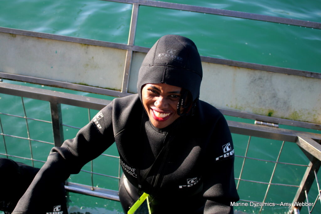 Shark cage diving, Gansbaai, South Africa