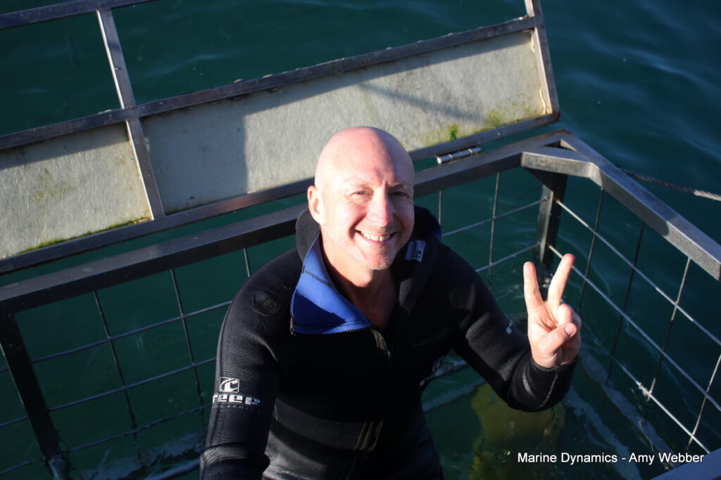 Shark cage diving, Gansbaai, South Africa