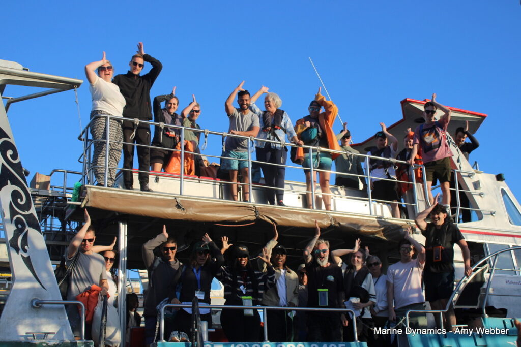 Shark cage diving, Gansbaai, South Africa