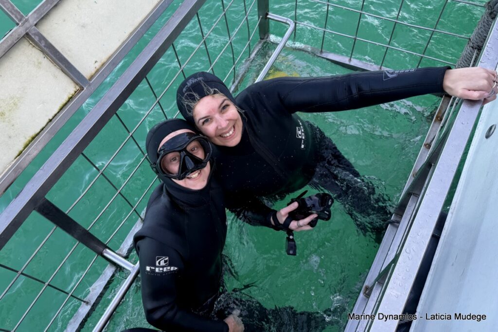 Shark cage diving, Gansbaai, South Africa