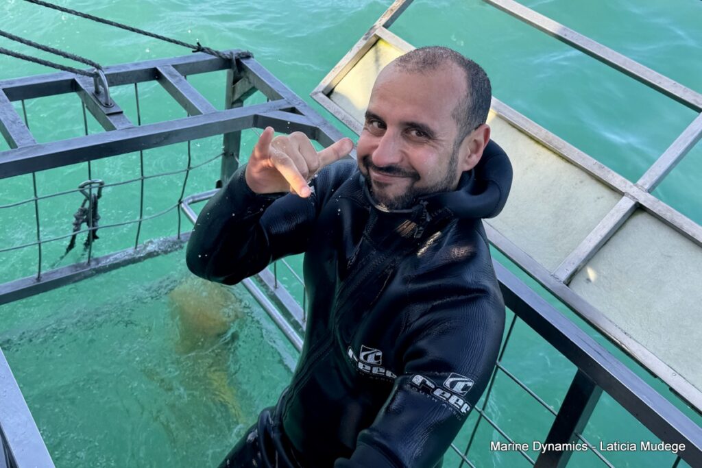 Shark cage diving, Gansbaai, South Africa