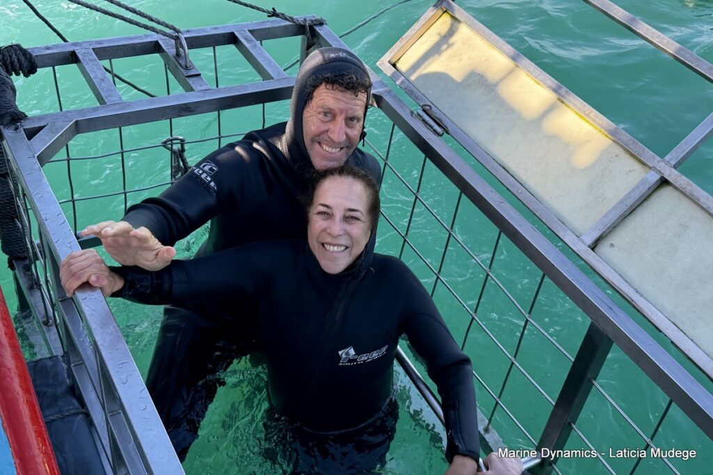 Shark cage diving, Gansbaai, South Africa