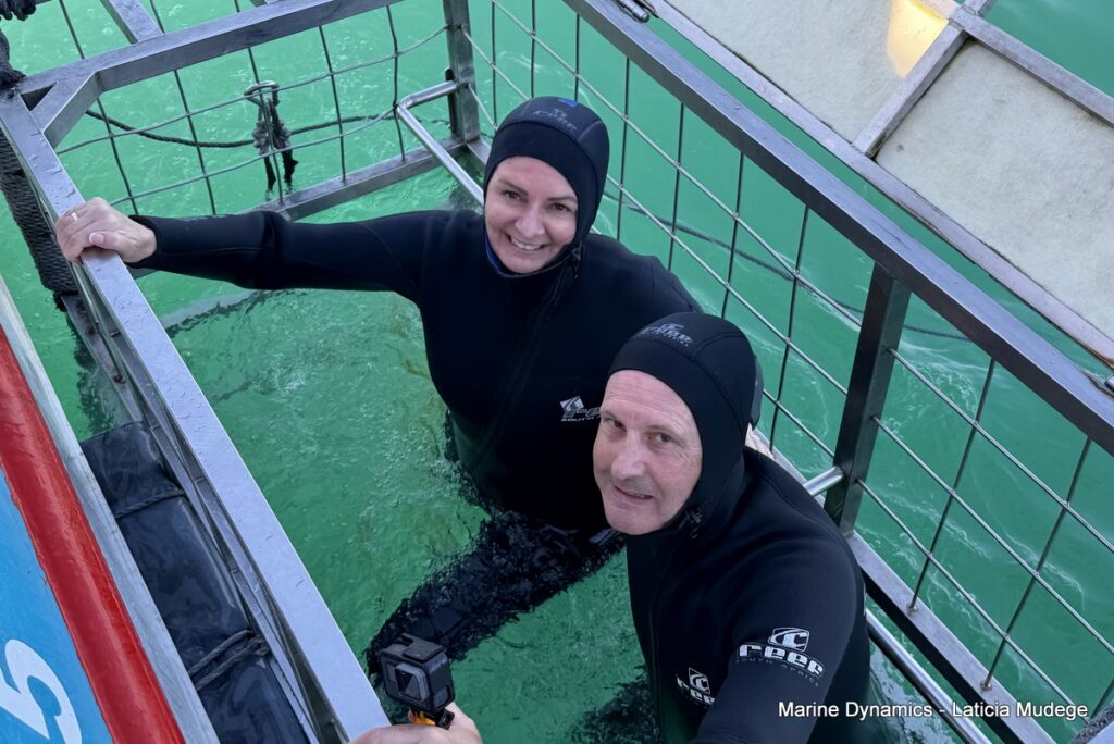 Shark cage diving, Gansbaai, South Africa