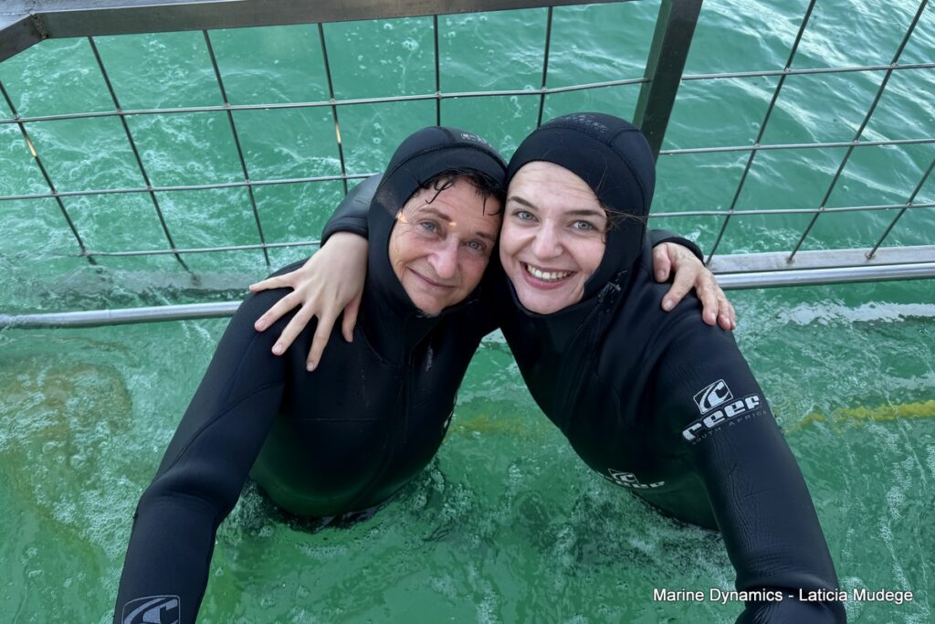 Shark cage diving, Gansbaai, South Africa