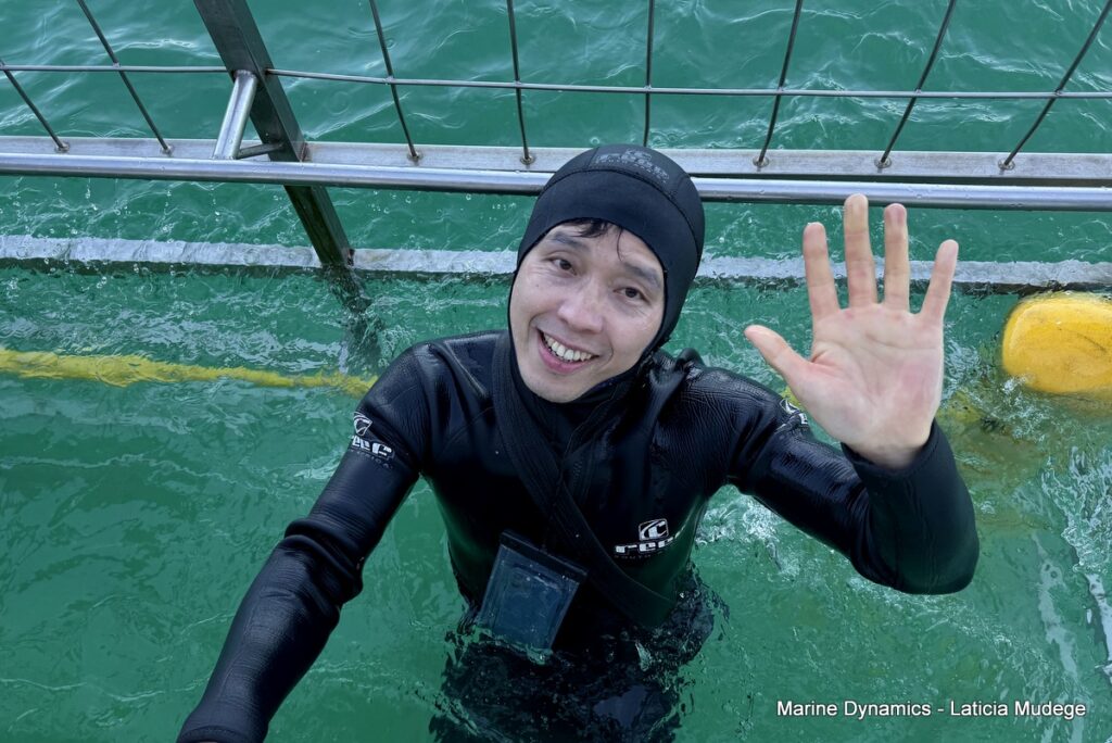Shark cage diving, Gansbaai, South Africa