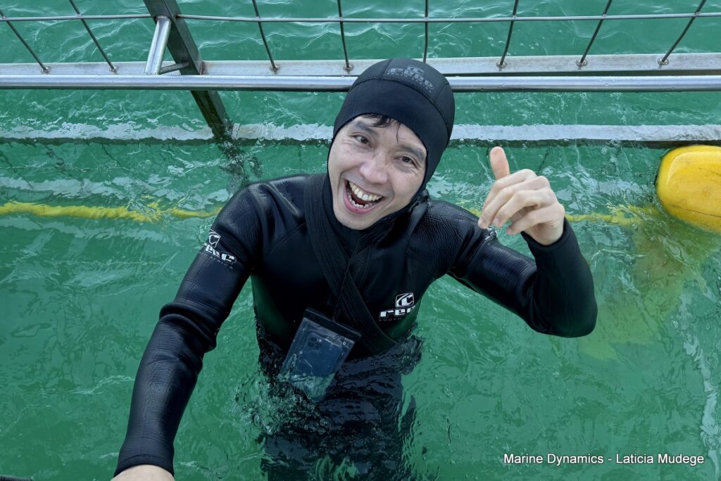 Shark cage diving, Gansbaai, South Africa
