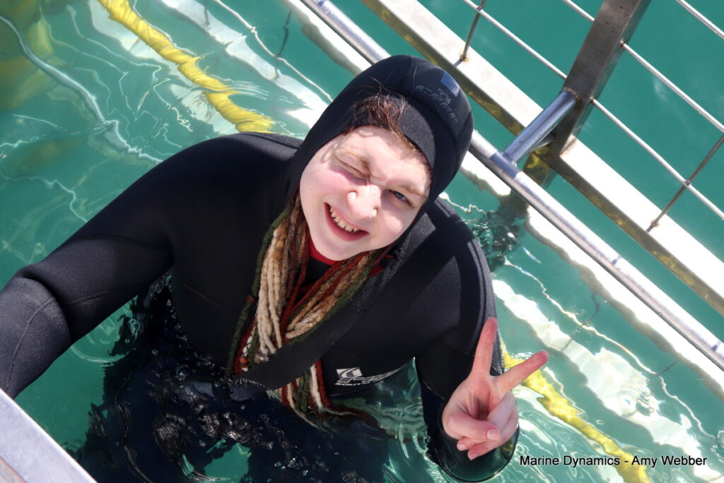 Shark cage diving. Gansbaai, South Africa