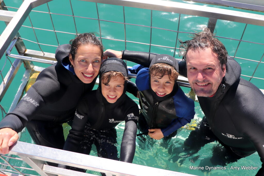 Shark cage diving. Gansbaai, South Africa
