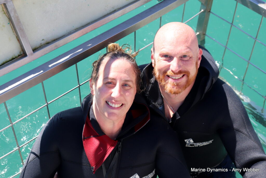 Shark cage diving. Gansbaai, South Africa