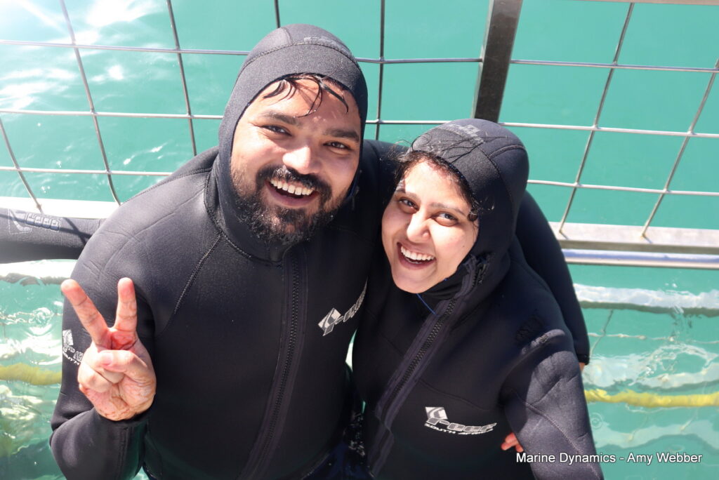 Shark cage diving. Gansbaai, South Africa