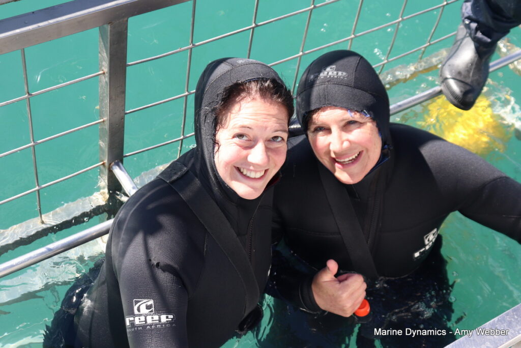 Shark cage diving. Gansbaai, South Africa