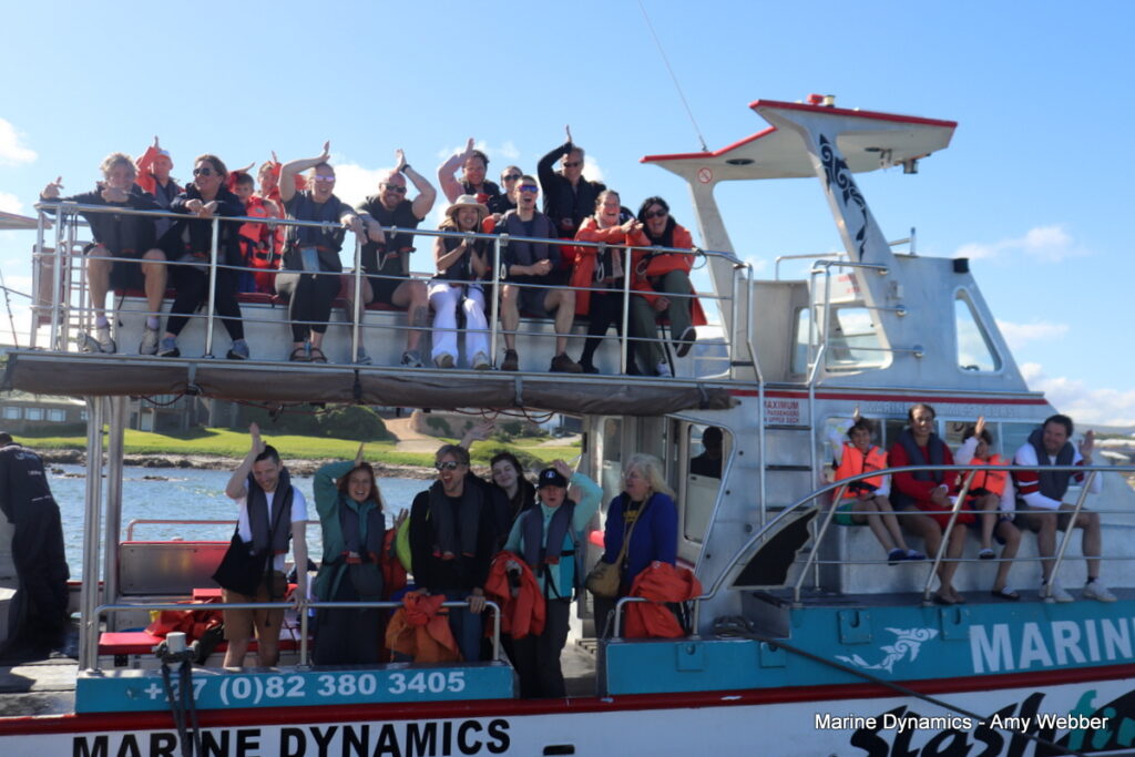 Shark cage diving. Gansbaai, South Africa