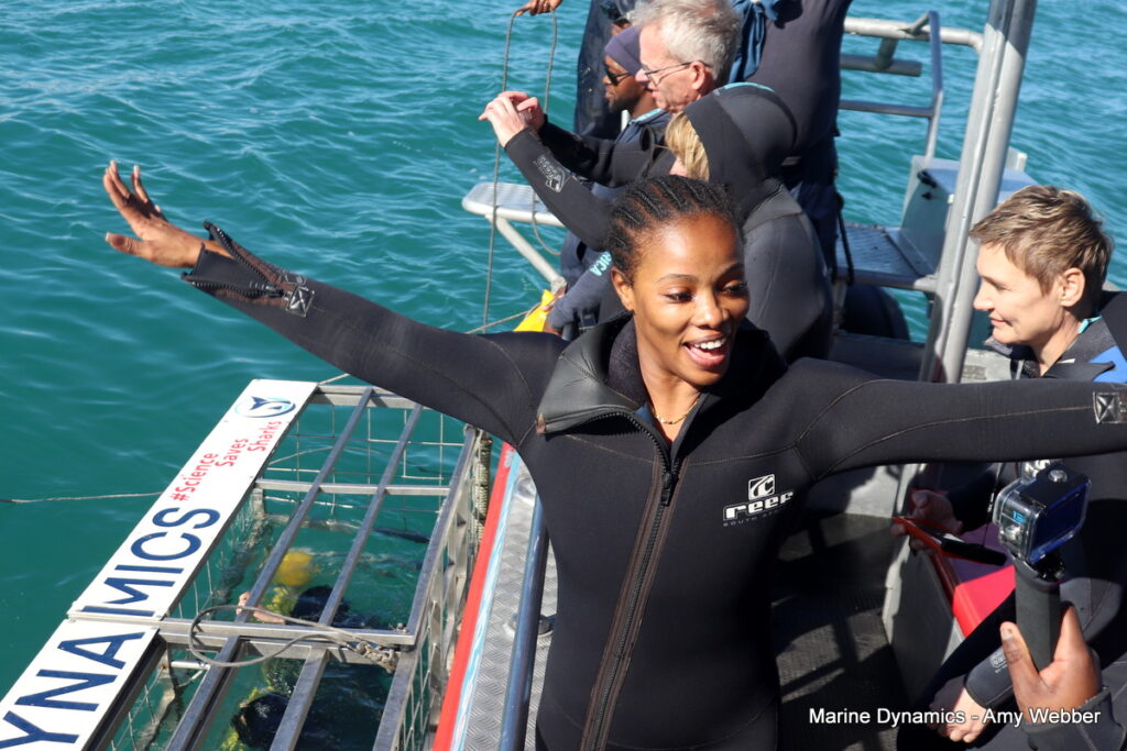 Shark cage diving. Gansbaai, South Africa