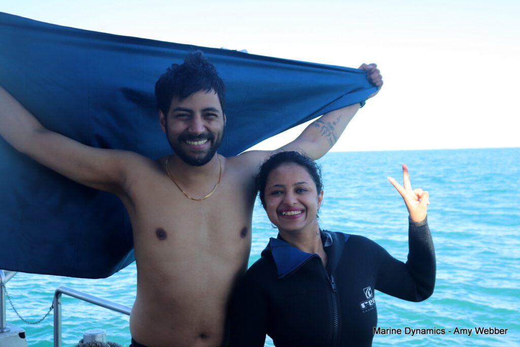 Shark cage diving. Gansbaai, South Africa
