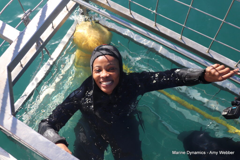 Shark cage diving. Gansbaai, South Africa